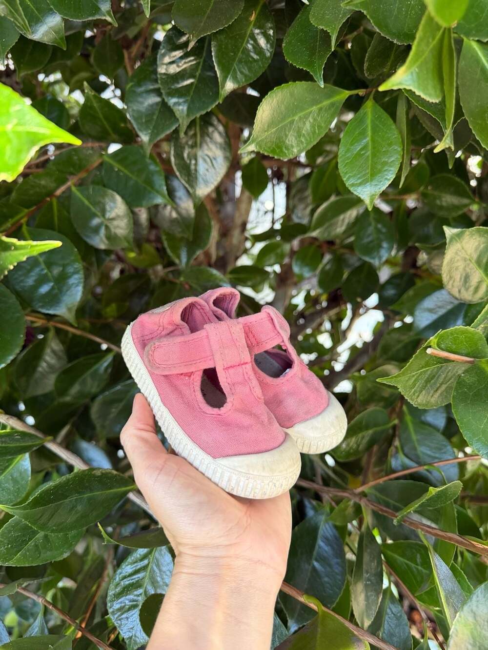 Victoria 1915 DREC Canvas Mary Jane Velcro Sneakers in Pink
